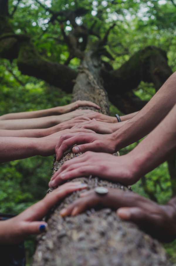 HAND ON DECK shane-rounce-DNkoNXQti3c-unsplash